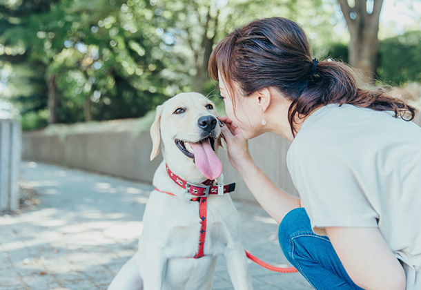 丁寧なカウンセリング