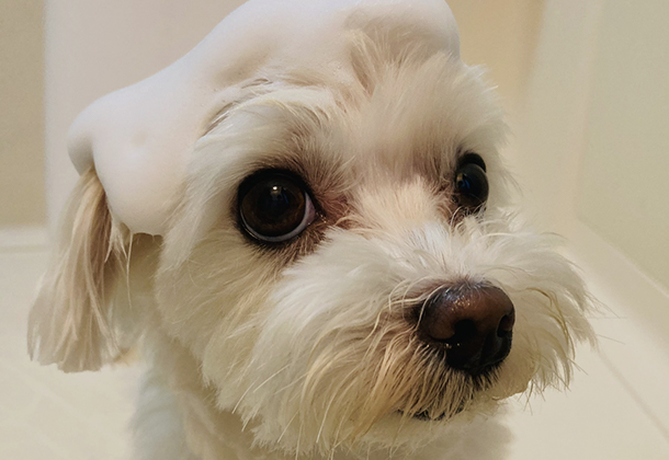 肌に優しいシャンプーを使用