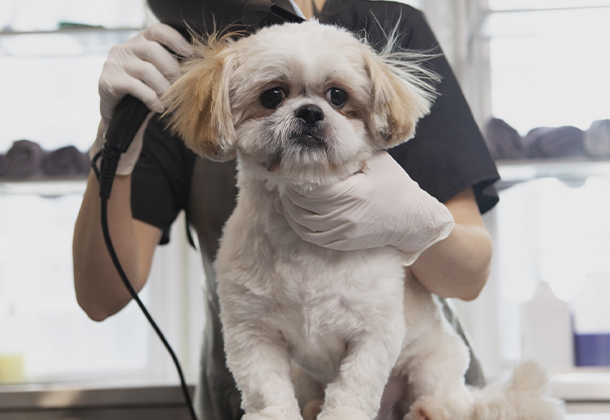 全部まとめて短時間で完了