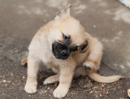 「お手入れ、正直ぜんぶ大変…」という方へ