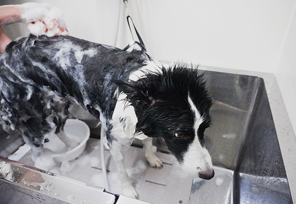 刺激を抑えたシャンプー