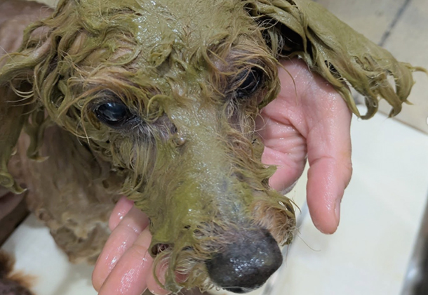 ハーブパックもできます