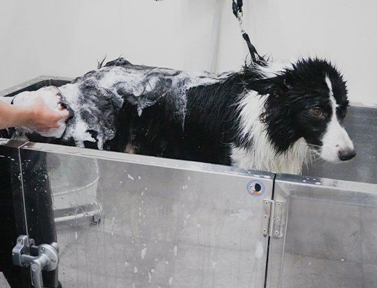 「自宅だと限界」「他店で断られてしまった」という方へ