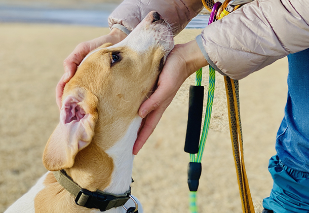 丁寧なカウンセリング