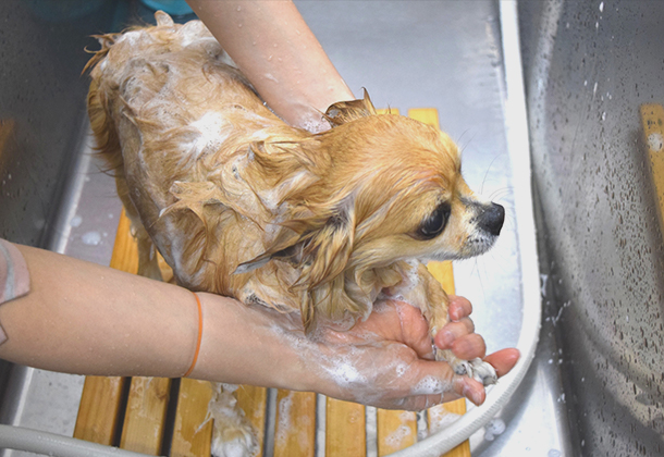 体に優しい施術