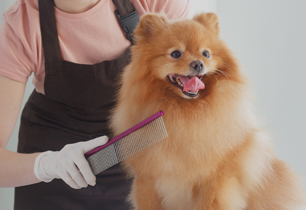 全部まとめてお手入れ完了