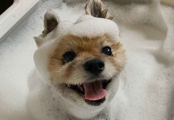 刺激を抑えたシャンプー