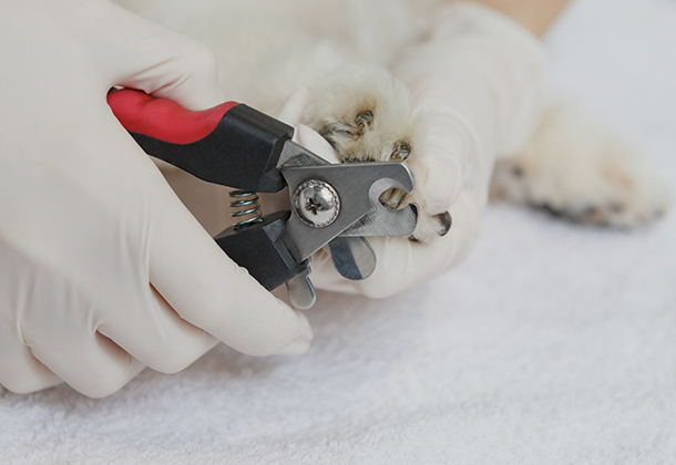 部分ケアだけでもOK