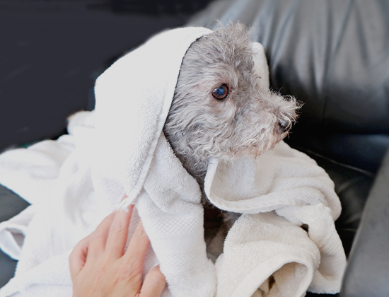 「お手入れ、正直ぜんぶ大変…」という方へ